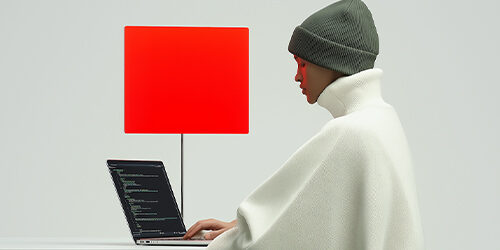 Wordpress developing