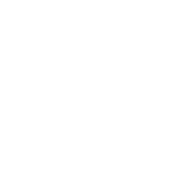 Some descriptive text