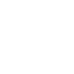 Some descriptive text